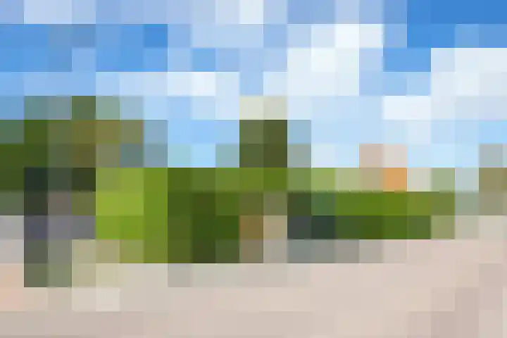 Kogerstraat 63 Den Burg thumbnail 60