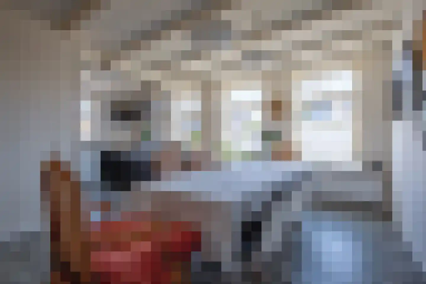 Kogerstraat 85 Den Burg thumbnail 11