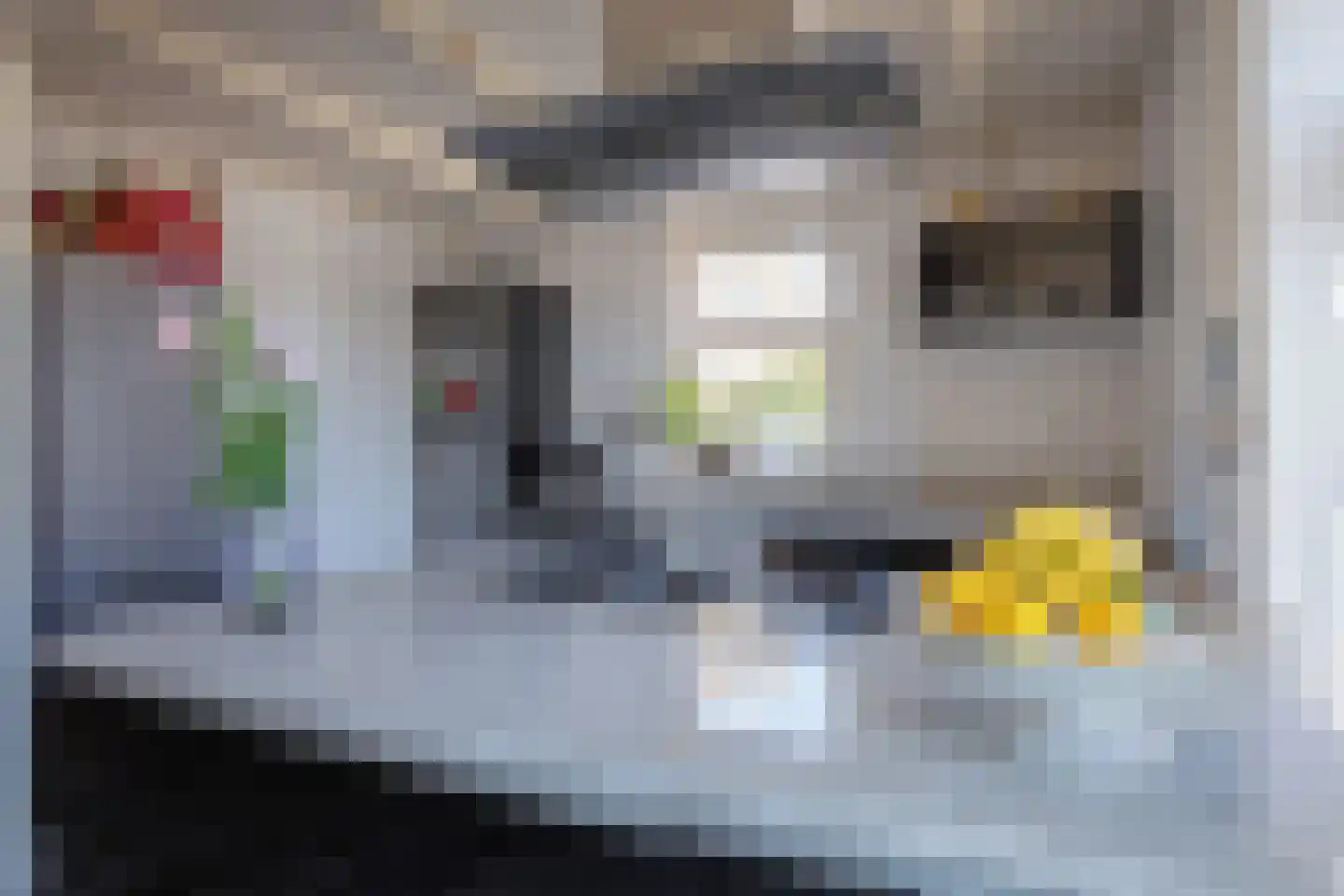 Kogerstraat 85 Den Burg thumbnail 13