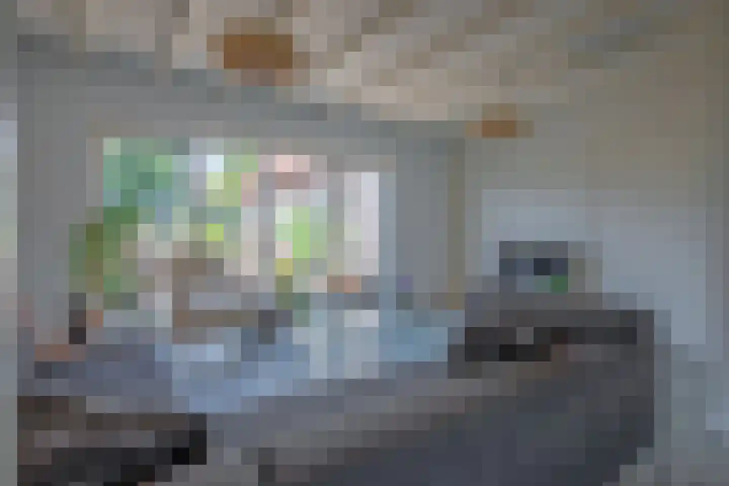 Kogerstraat 85 Den Burg thumbnail 5