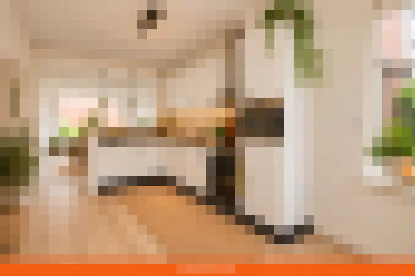Kogerwatering 4 Koog aan de Zaan thumbnail 8