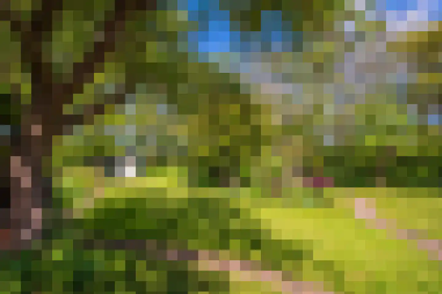 Kogerweg 132 Den Burg thumbnail 33