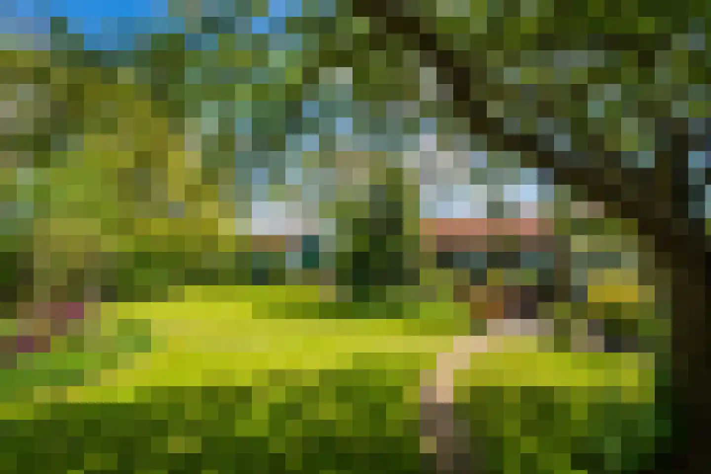 Kogerweg 132 Den Burg thumbnail 41