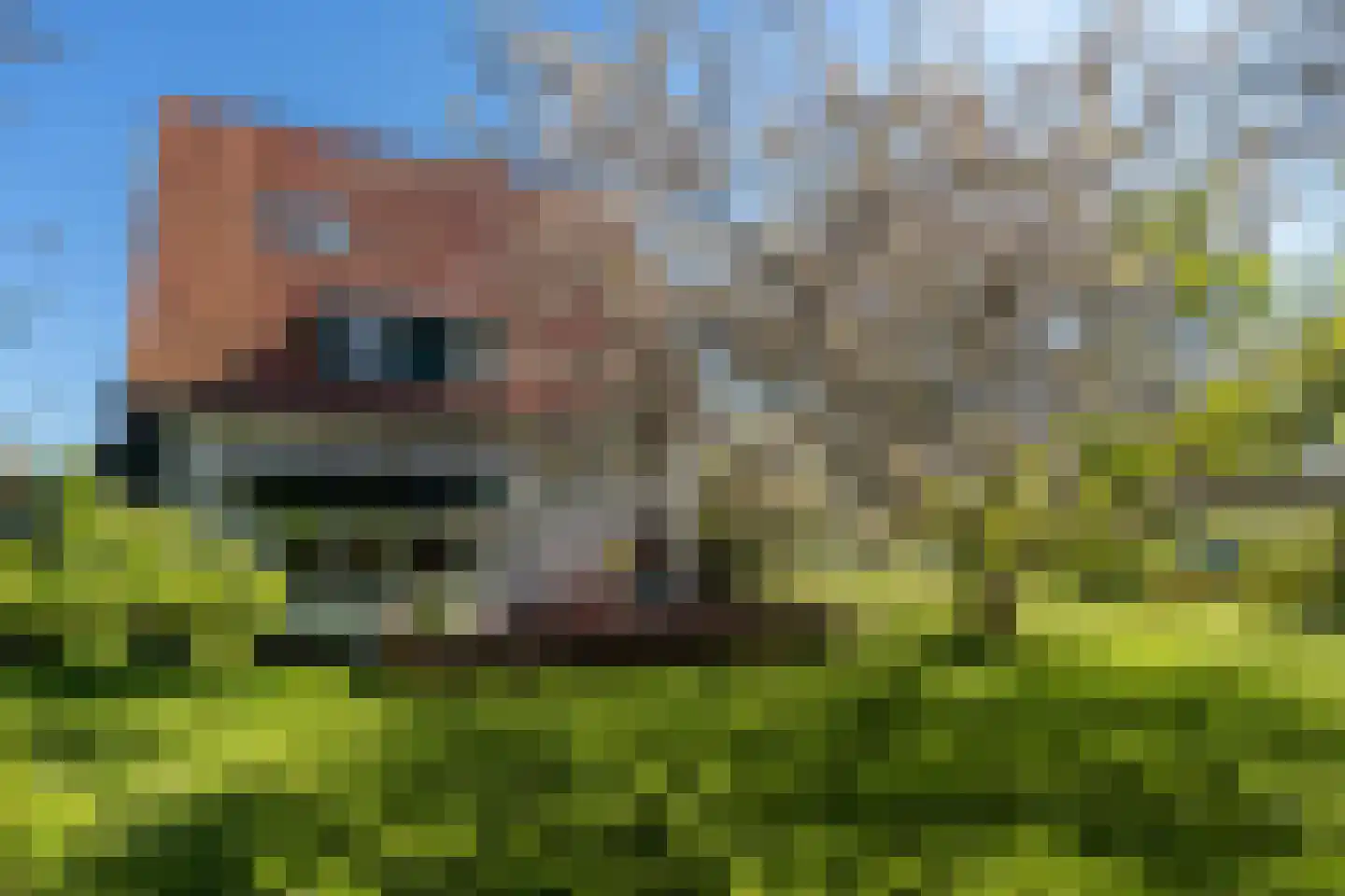 Kogerweg 132 Den Burg thumbnail 9