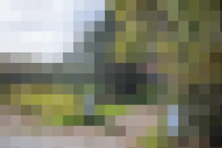 Kogerweg 151 Den Burg thumbnail 13