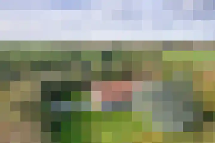 Kogerweg 151 Den Burg thumbnail 6