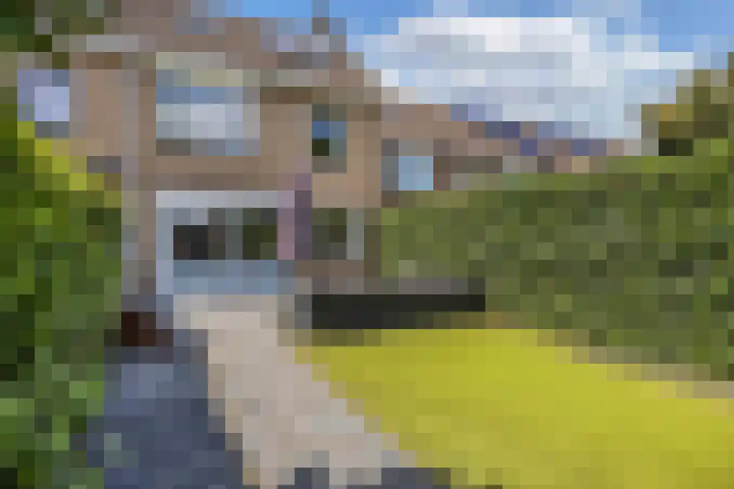 Kogge 05 25 Lelystad thumbnail 36