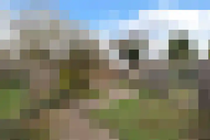 Kogge 11 69 Lelystad thumbnail 10