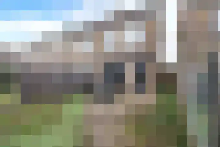 Kogge 11 69 Lelystad thumbnail 15