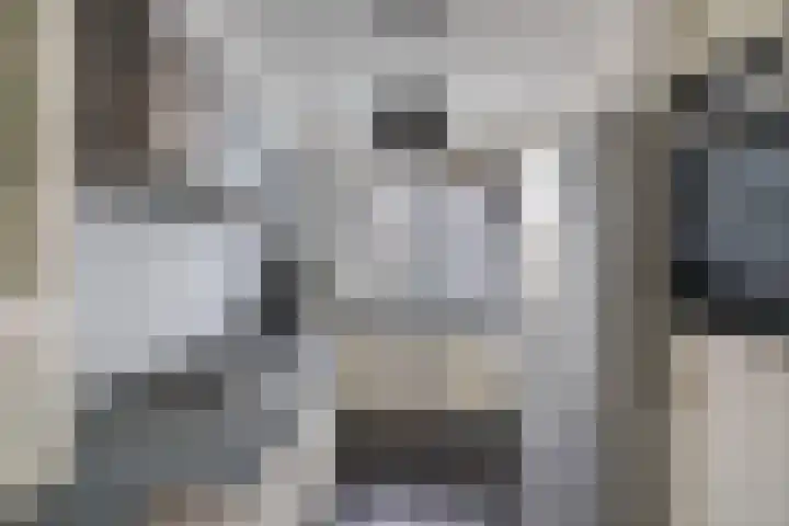 Kogge 11 69 Lelystad thumbnail 8