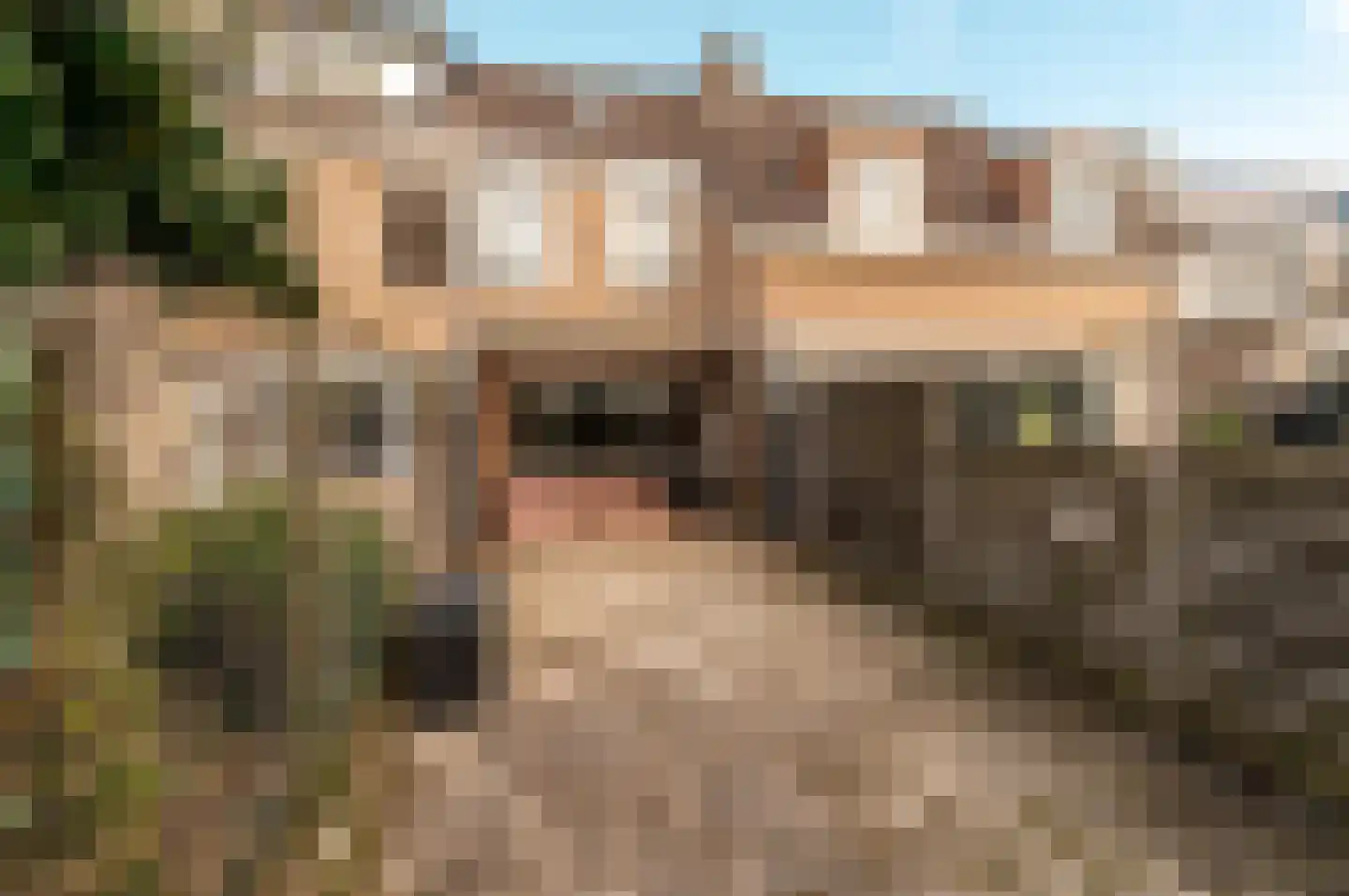 Kogge 12 46 Lelystad thumbnail 28
