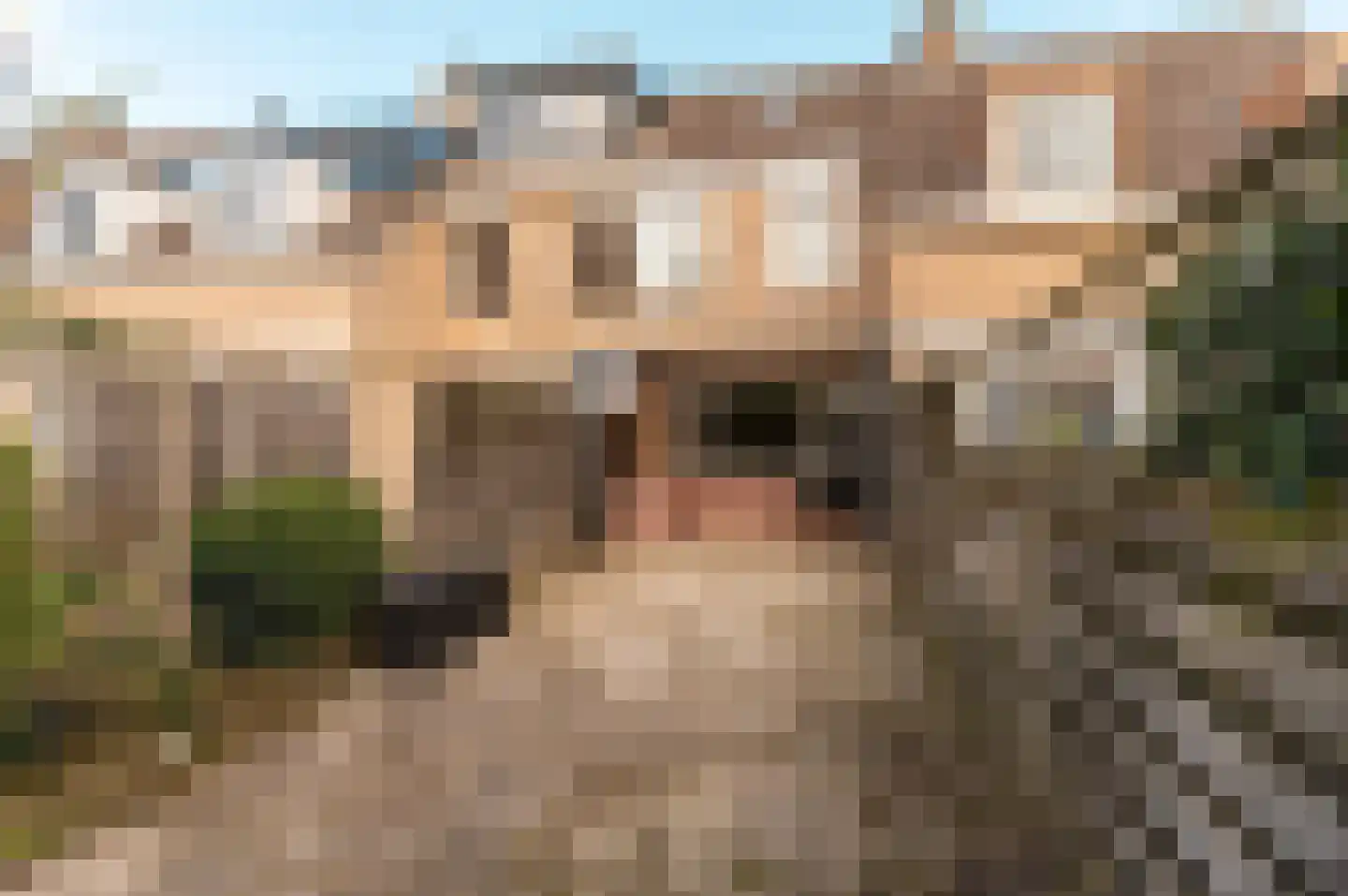 Kogge 12 46 Lelystad thumbnail 30