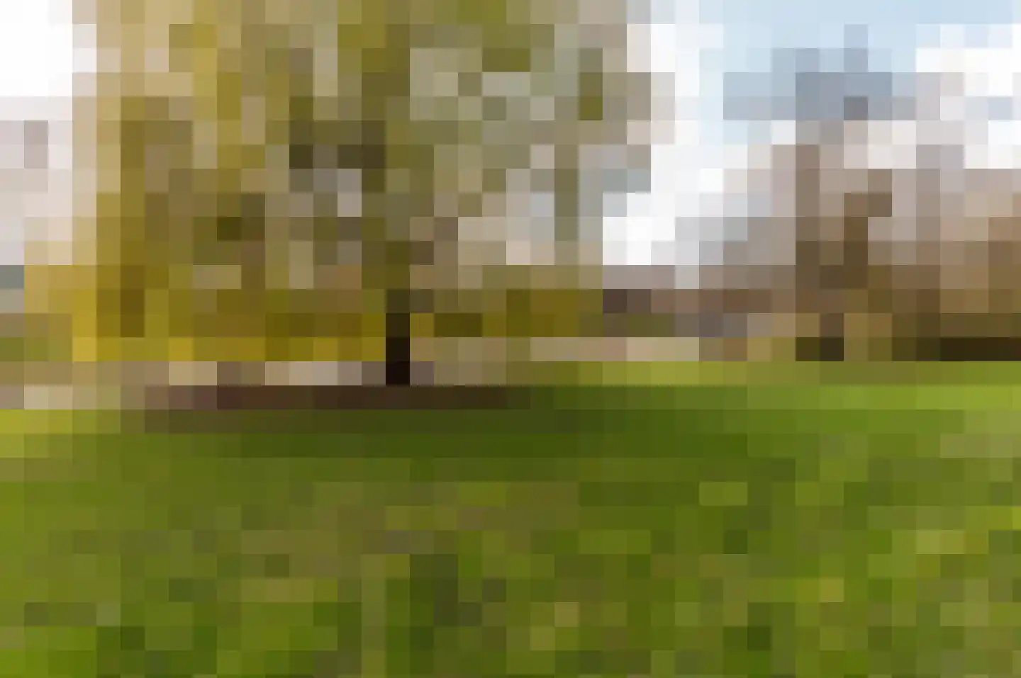 Kogge 12 46 Lelystad thumbnail 33