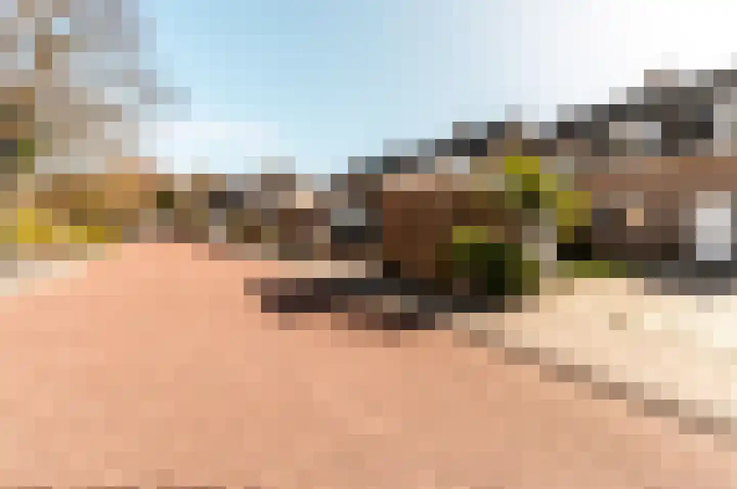 Kogge 12 46 Lelystad thumbnail 37