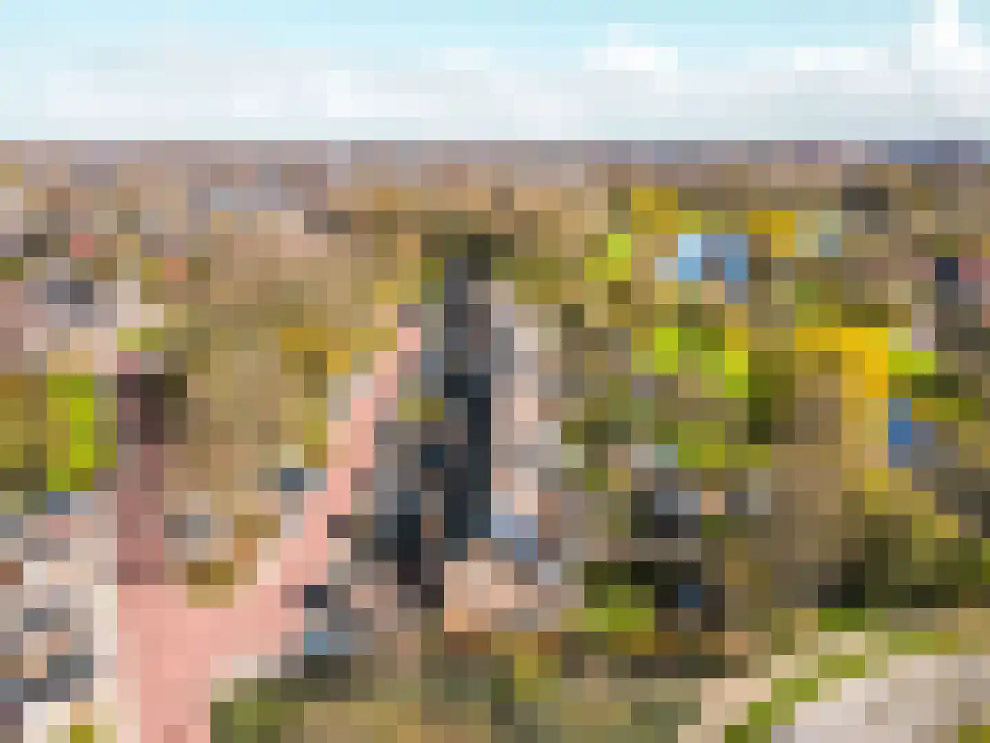 Kogge 12 46 Lelystad thumbnail 42