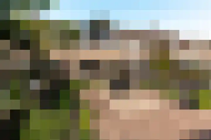 Kogge 12 54 Lelystad thumbnail 37