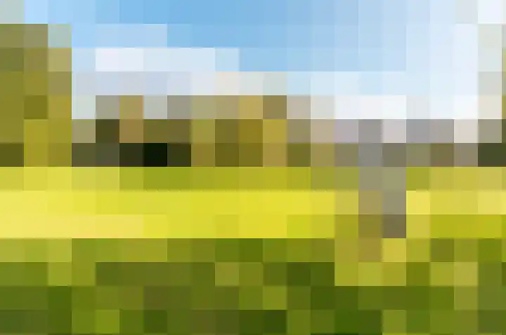 Kogge 12 54 Lelystad thumbnail 39