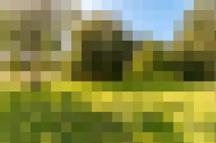 Kogge 12 54 Lelystad thumbnail 40