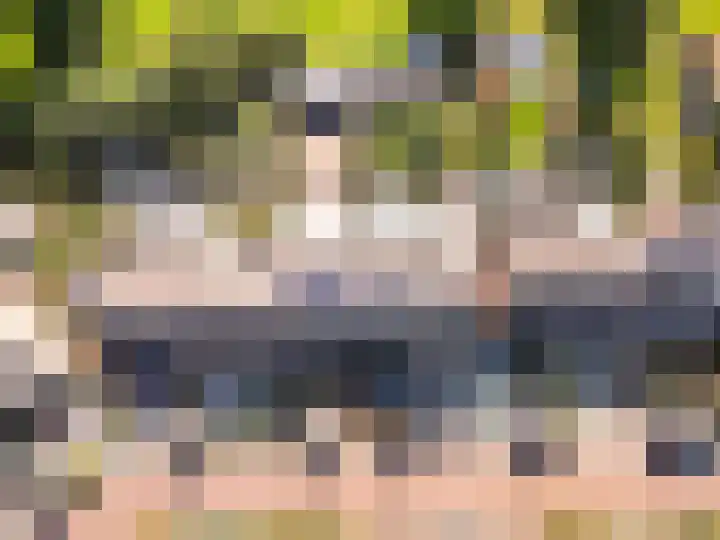 Kogge 12 54 Lelystad thumbnail 51