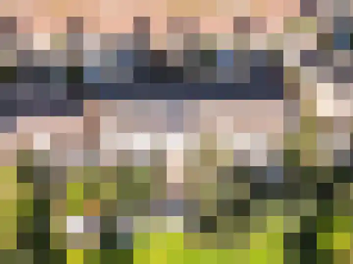 Kogge 12 54 Lelystad thumbnail 52