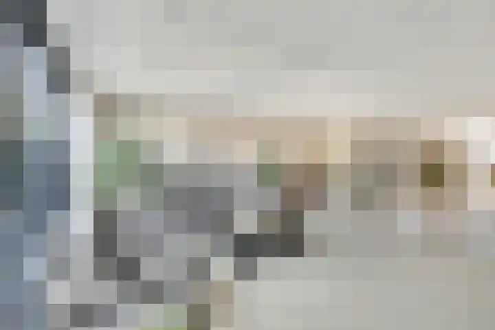 Kogge 12 Brielle thumbnail 11