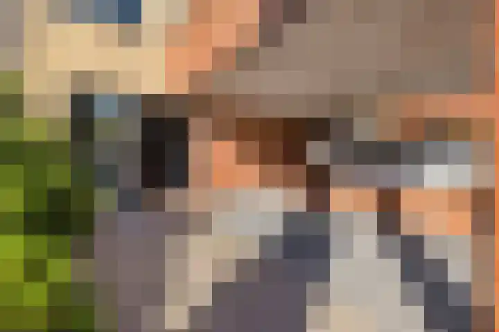 Kogge 12 Brielle thumbnail 4