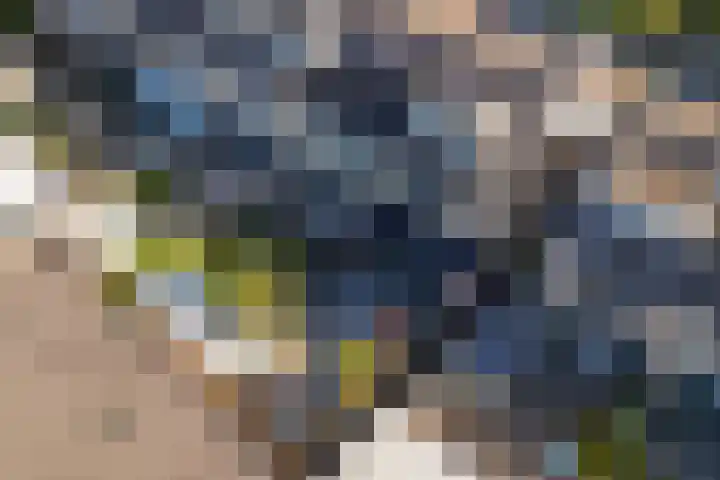 Kogge 12 Brielle thumbnail 44