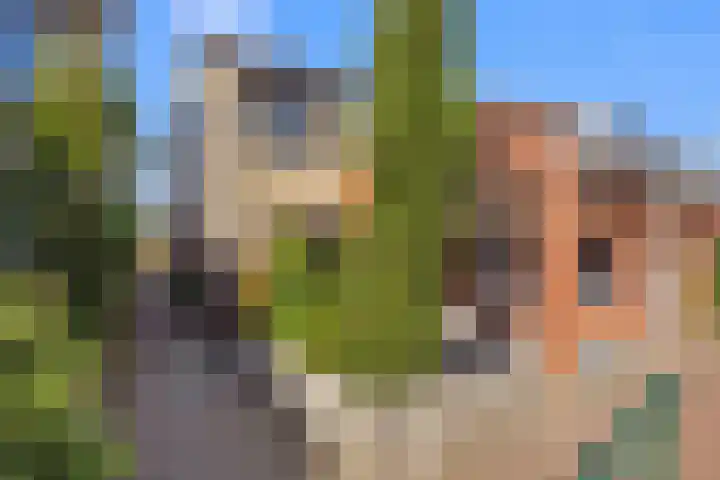 Kogge 12 Brielle thumbnail 49