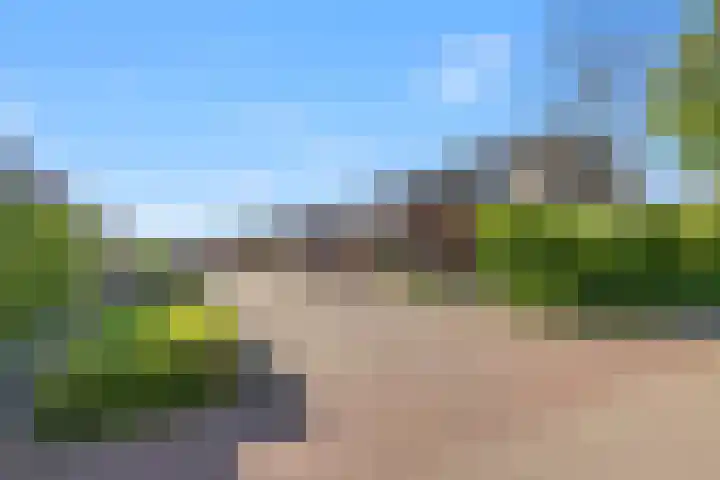 Kogge 12 Brielle thumbnail 53