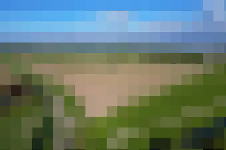Kogge 12 Brielle thumbnail 55