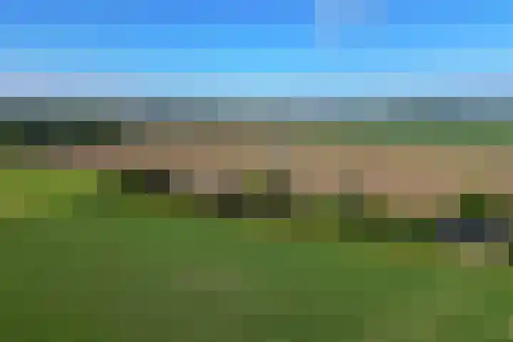 Kogge 12 Brielle thumbnail 56