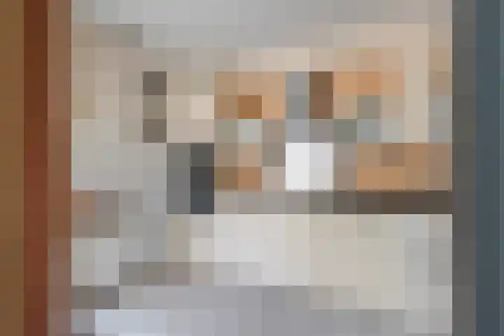Kogge 12 Veenendaal thumbnail 12