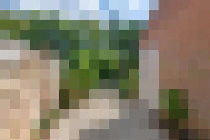 Kogge 12 Veenendaal thumbnail 14