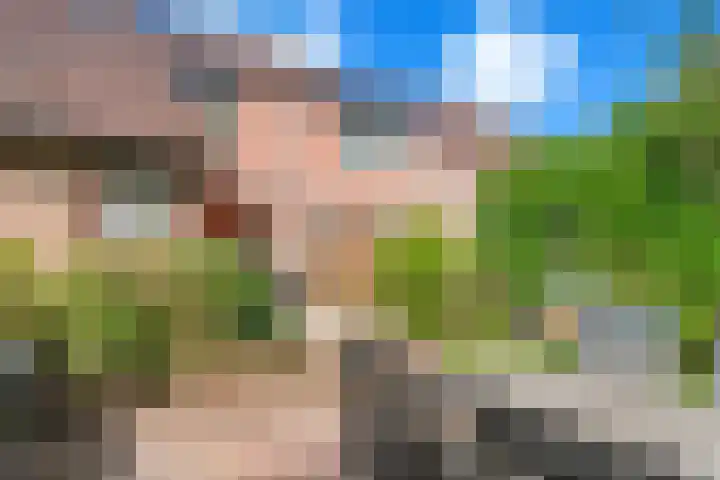 Kogge 12 Veenendaal thumbnail 15