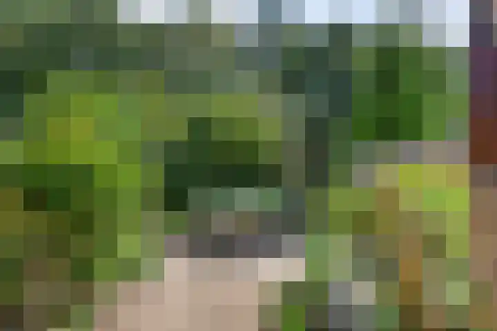 Kogge 12 Veenendaal thumbnail 16