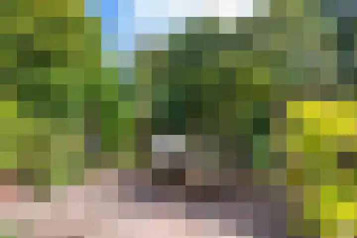 Kogge 12 Veenendaal thumbnail 17