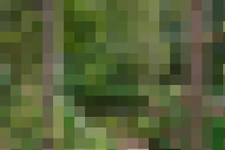 Kogge 12 Veenendaal thumbnail 18