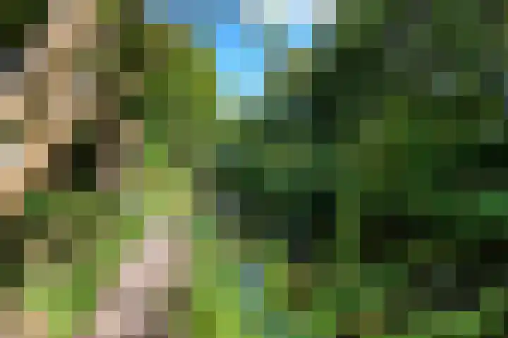 Kogge 12 Veenendaal thumbnail 19
