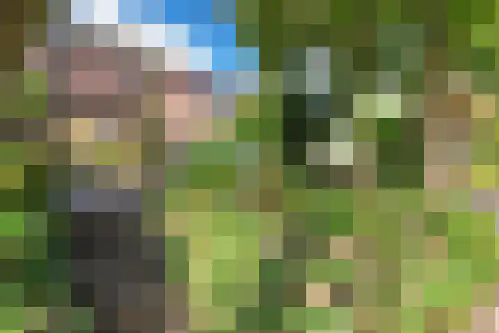 Kogge 12 Veenendaal thumbnail 20