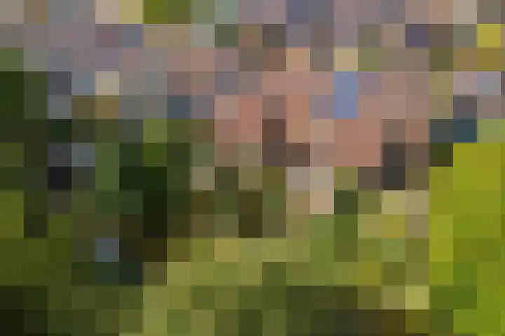 Kogge 12 Veenendaal thumbnail 39