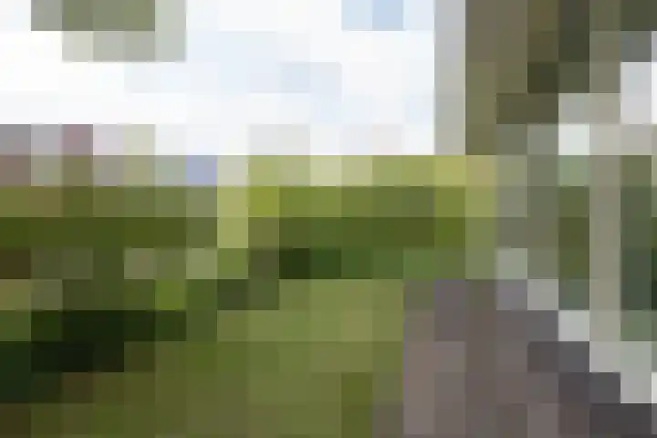 Kogge 16 Zuidhorn thumbnail 11