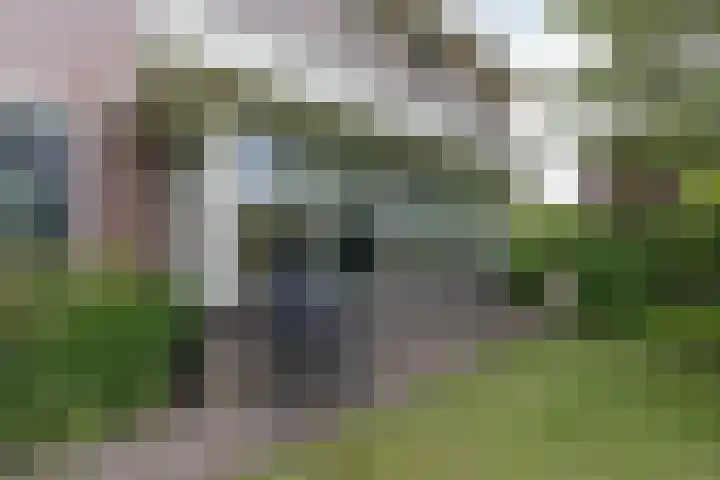 Kogge 16 Zuidhorn thumbnail 12