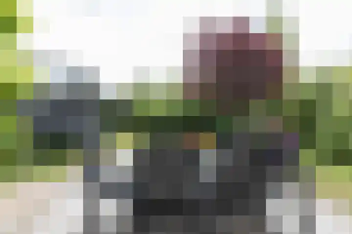 Kogge 16 Zuidhorn thumbnail 17