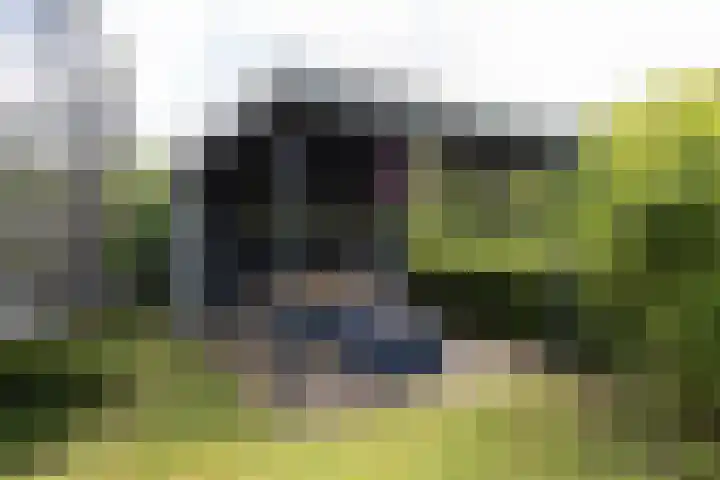 Kogge 16 Zuidhorn thumbnail 18