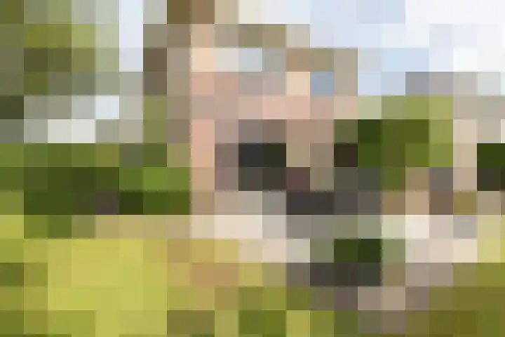Kogge 16 Zuidhorn thumbnail 20
