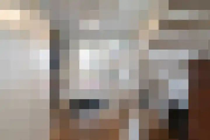 Kogge 16 Zuidhorn thumbnail 23