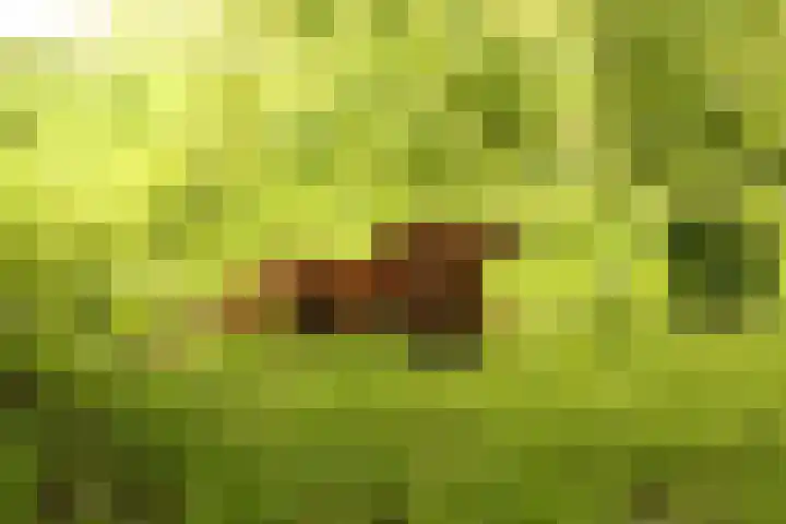 Kogge 16 Zuidhorn thumbnail 37