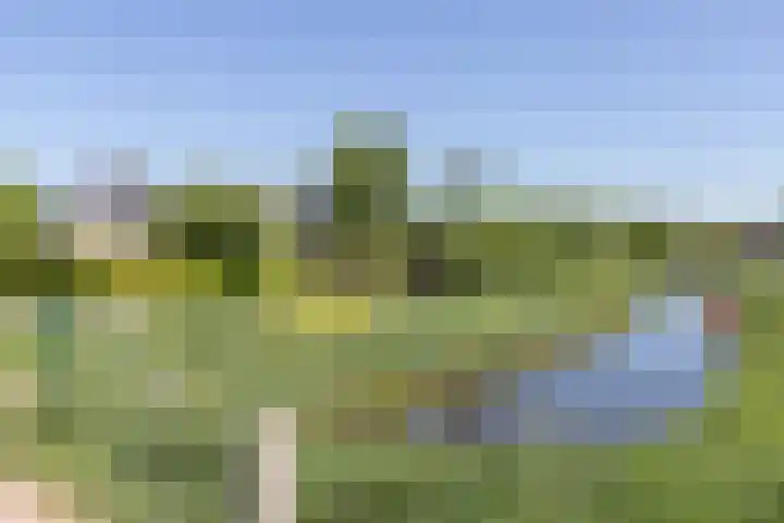 Kogge 16 Zuidhorn thumbnail 38