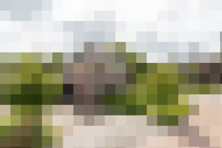 Kogge 16 Zuidhorn thumbnail 42