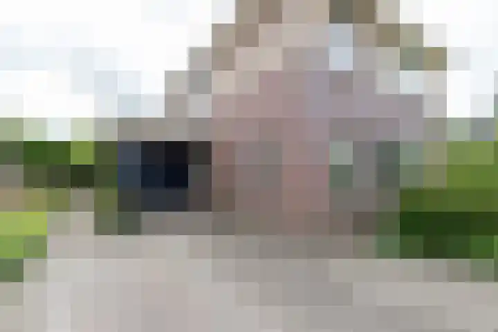 Kogge 16 Zuidhorn thumbnail 5